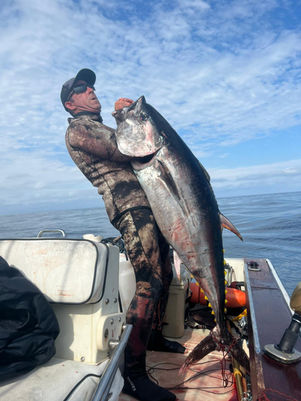 Experience inshore fishing for prized species like Halibut, Rockfish, and Sheepshead, or embark on long-range trips targeting pelagic species such as Yellowtail, Bluefin Tuna, Yellowfin Tuna, Marlin, Dorado and more