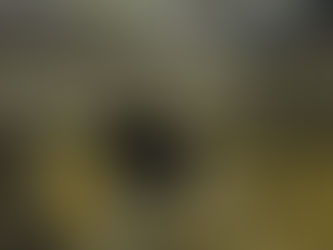 Copeland Mayoral Election 2019