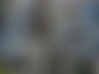 Thousands turn out for another fantastic Gosforth Show.