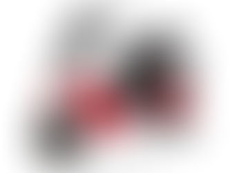 המהפכה מגיעה עם תוספת זיתים: הקטנוע החשמלי של בליץ כובש את משלוחי המזון