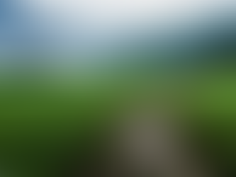 Jesús tomó la decisión de ir a Jerusalén