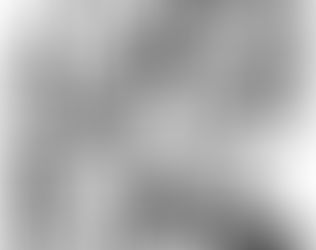 Bartimeo, los discípulos y nosotros