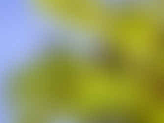 Domingo III de Cuaresma