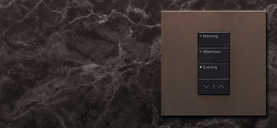 Lutron RA3 Vierti Keypads BP_edited_edit