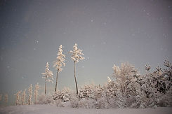 42F84A7B-F8F6-458A-B420-8C53CFEEB76C_1_105_c.jpeg