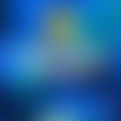 Prefeitura de Entre Rios divulga novo decreto com medidas de combate à pandemia