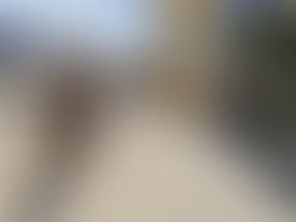 56ª CIPM presta homenagem ao Dia da Bandeira