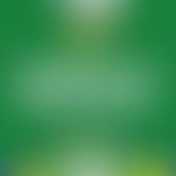 Prefeitura de Entre Rios divulga programação do aniversário de 150 anos