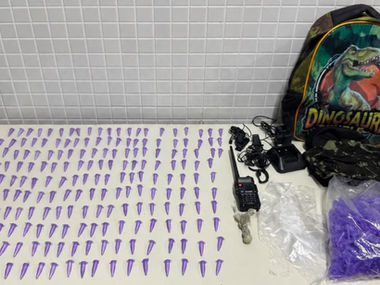 56ª CIPM apreende mais de 200 pinos de cocaína em Cardeal da Silva