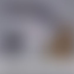 Homem morre após confronto com policiais do PETO em Entre Rios; Arma e drogas são apreendidas