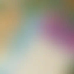 Lotofácil premia morador de Entre Rios com mais de R$ 2 mil