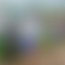 Moradores retiram mais de 1 tonelada de lixo nas praias de Porto de Sauípe