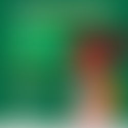 AUXÍLIO BRASIL: BENEFICIÁRIOS DE ENTRE RIOS DEVEM ATUALIZAR DADOS SOBRE MUDANÇA DE ESCOLA