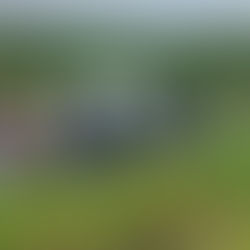 Carreta tomba e trava trânsito na BR-101