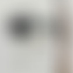 Militares do 4° Pelotão apreendem arma de fogo, drogas e simulacro em Porto de Sauípe