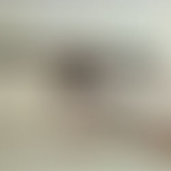 56ª CIPM apreende 6 armas de fogo em uma semana