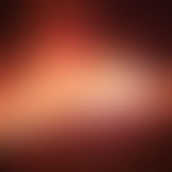 Incêndio de três ônibus em Porto de Sauípe foi criminoso