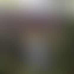 Acidente na linha verde deixa três vítimas