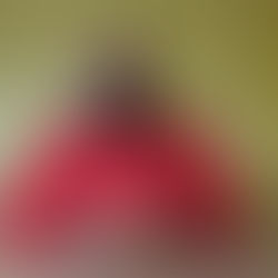 Prefeito Manoelito Argolo Jr. faz apelo a população