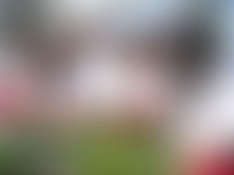 Entrega de Colégio de Tempo Integral de Cardeal da Silva fortalece Projeto Agroecológico de ensino no município