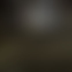 E PRORROGADO O TOQUE DE RECOLHER EM TODA A BAHIA