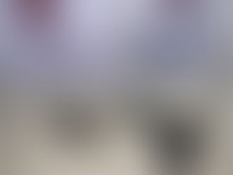 A POLÍCIA MILITAR DA BAHIA
CIPE LITORAL NORTE CUMPREM  MANDADO DE PRISĀO COM RESULTADO EM  MORTE