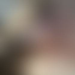 Cachorro é atropelado em Entre Rios