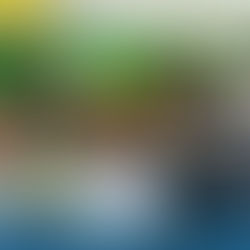 SECRETARIA MUNICIPAL DE EDUCAÇÃO SE REÚNE COM ENTIDADES PARA DISCUTIR VOLTA ÀS AULAS PRESENCIAIS