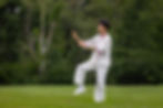 tai chi - kwei