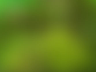 Die Kraft der Natur