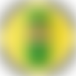 Professional Housekeepers to Clean Your Bath Tub