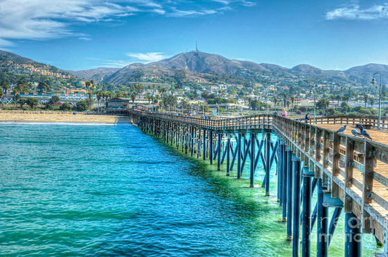 Detail Oriented and Trustworthy Vacation Rental By Owner Cleaning in Pierpont in Ventura, CA 93001