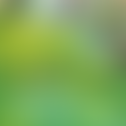 ॠतु बसंती रे