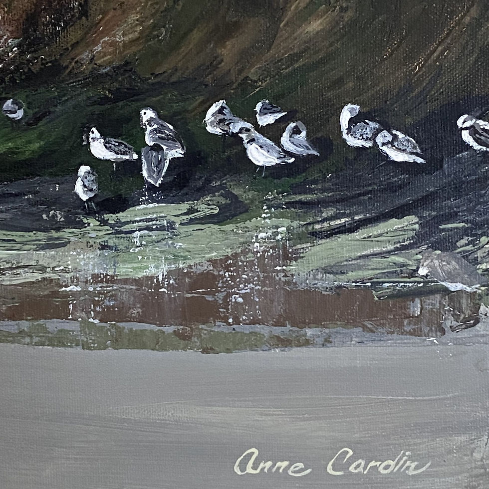 Thumbnail: Plage de la Grande-Echouerie 