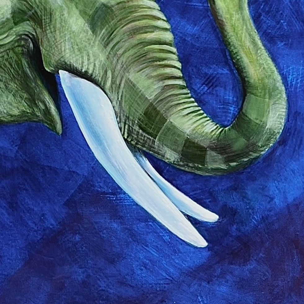 Thumbnail: défense d'éléphant vert à carreaux