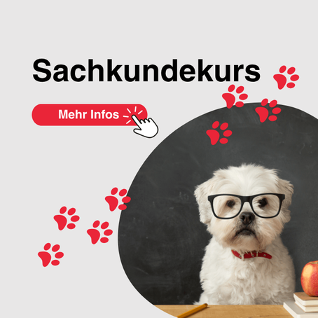 Sachkundekurs für Hundehalter