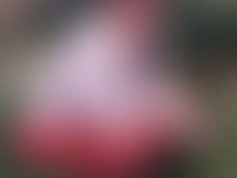 About me - Founder of 'Embrace Your Value' coaching