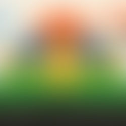 Passos para implementar energia solar sem investimento inicial e começar a poupar já