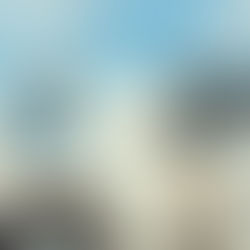 Mobilidade elétrica integrada à energia solar: o futuro das frotas empresariais sustentáveis