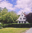 dclassic 2025-05-17 190844.743.jpg