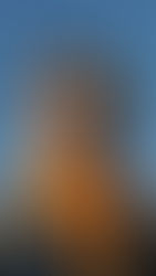 A Girl With An Unfinished Dream Of University