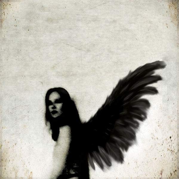 In the dark 2010