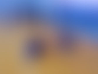 Физкультпривет от экипажа корабля