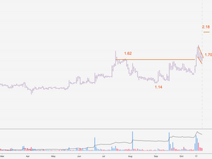 Bullish flag chart pattern on Vivani Medical Inc Nasdaq VANI