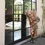 Miniature : Robe Yess
