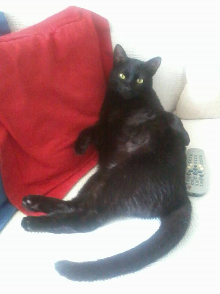 Edgar