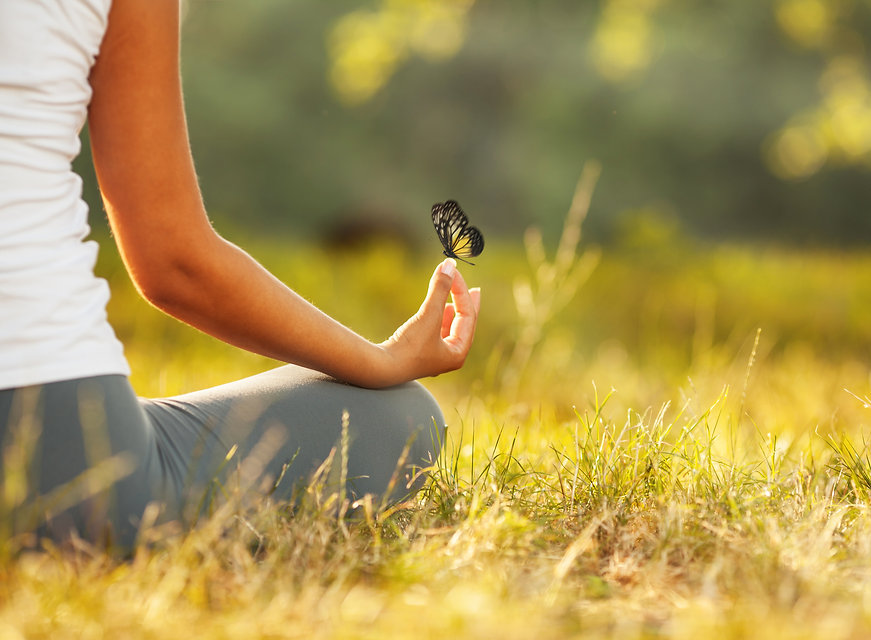 butterflymeditation.jpeg