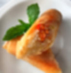 Veggie Spring Rolls (2)