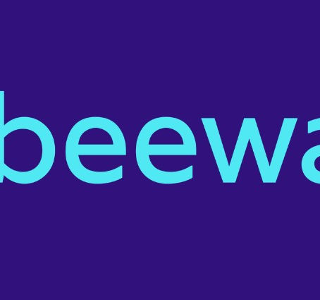 Case Study Acting CFO: Mobeewave