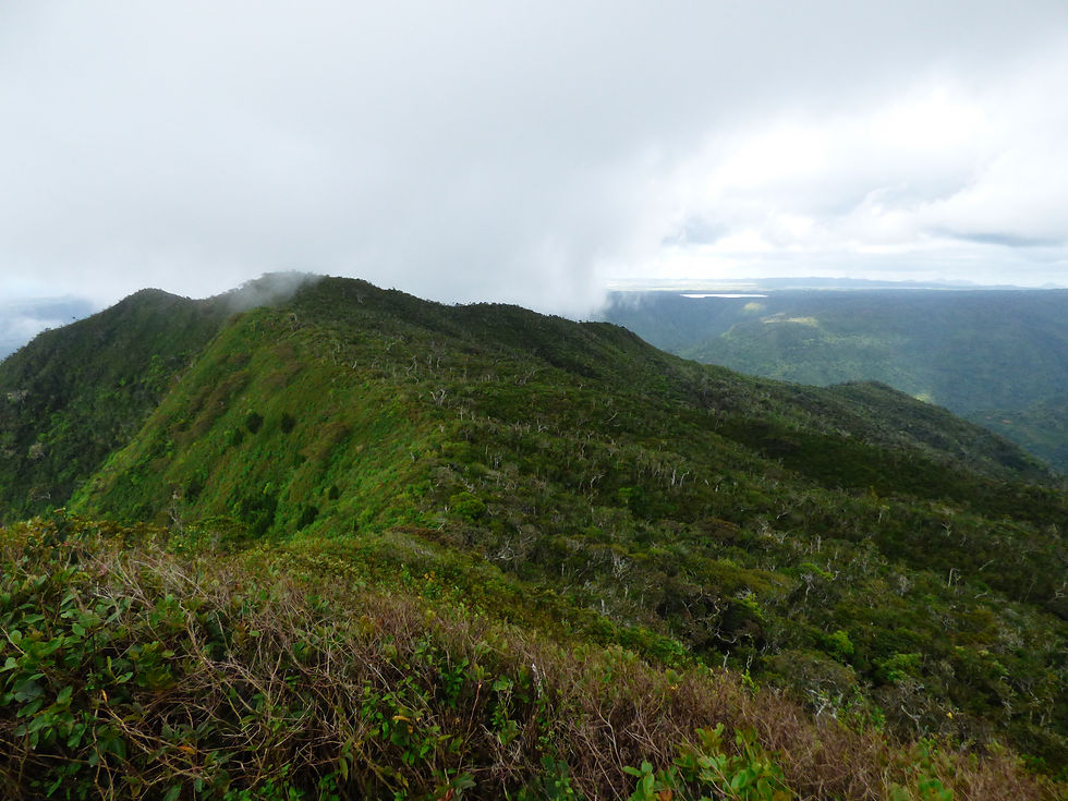 P1080819.JPG